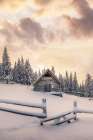 Snowy Cabin in the Woods Art Print