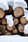 Snow Covered Logs Art Print