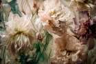 Antique Peonies Art Print