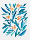 Bird of Paradise Flower 1 Art Print