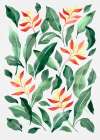 Parakeet Flower Art Print