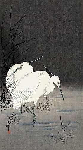 Two Egrets in the Reeds, 1900-1930 Art Print