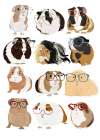 Guinea Pigs In Glasses Art Print