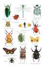 Bugs Art Print