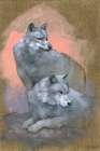 Gaze of the Gray Wolves Art Print