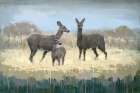 Deer Family in a Field of Yellow Art Print