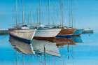 Boats In The Harbor Art Print