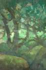 Wistmans Wood 1 Art Print