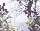 Springtime Art Print by Design Fabrikken