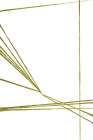 Lines Play Art Print by Design Fabrikken