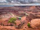 Dead Horse Point Art Print by Darrell OSullivan