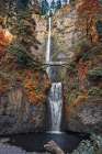 Multnomah Falls Art Print by Darrell OSullivan