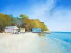 Walk on Shelly Beach Art Print