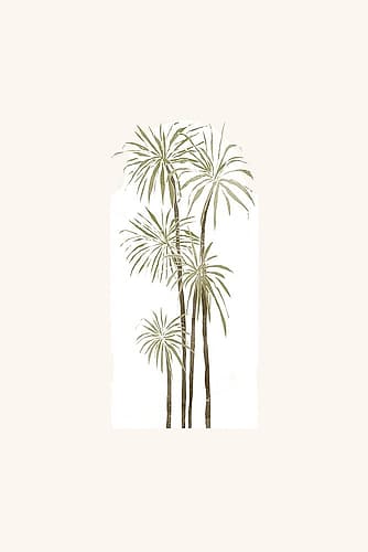 Tropical Window 03 Art Print