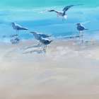 In the Shallows 2 Art Print