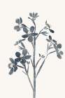 Blue Flowers 1 Art Print