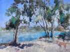 River at Mildura Art Print