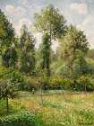 Poplars, Eragny (1895) Art Print