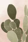 Desert Cactus III Art Print