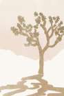 Desert Joshua Tree III Art Print