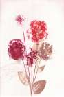 Bouquet 1 Red Art Print