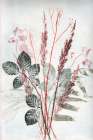 Bouquet 2 Red Green Art Print