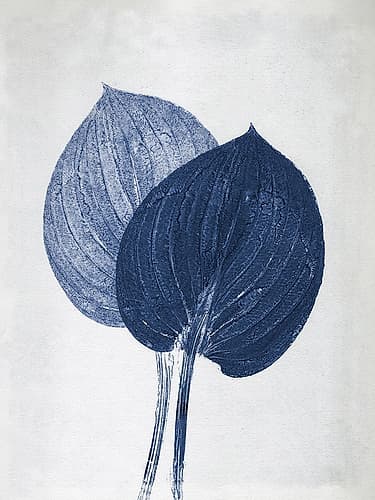 Hosta 2 Blue Art Print