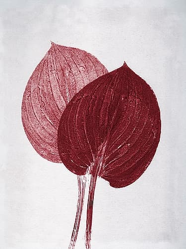Hosta 2 Bordeaux Art Print