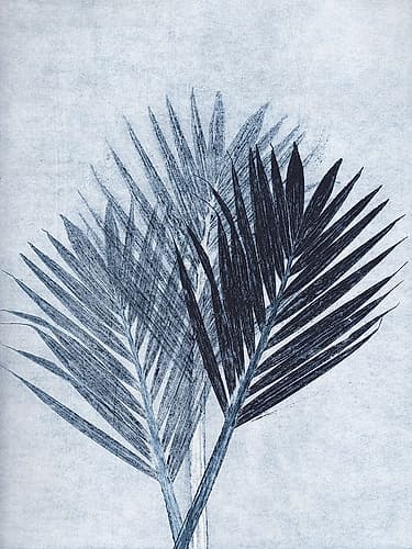 Palm 4 Blue Minimaliste reproduction