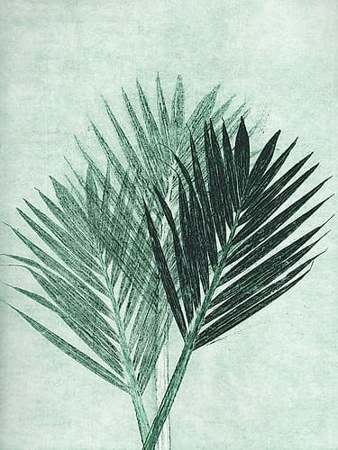 Palm 4 Green Art Print