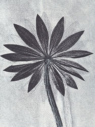 Lupine Smoke Art Print
