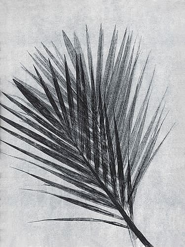 Palm 1 Grey Minimalist Print