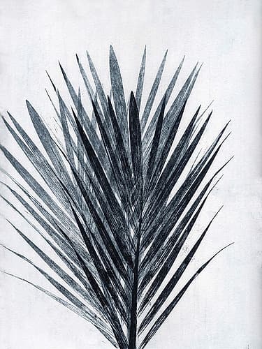 Palm 2 Grey Minimalist Print
