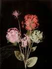 Bouquet 1 Dark Art Print