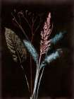Bouquet 4 Dark Art Print