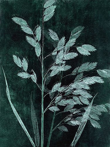 Grass Petrol Art Print