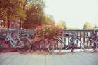 Amsterdam Bikes No. 1 Art Print
