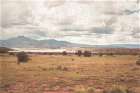 New Mexico Dream Art Print
