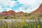 New Mexico Drive Art Print