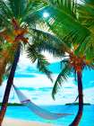 Coconut Sun Art Print