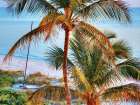 Colors of Florida Art Print