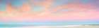 Captiva Art Print