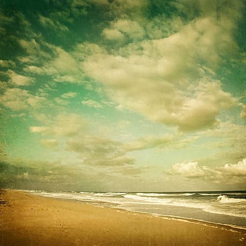 Letting Go of Time Art Print by Irene Suchocki