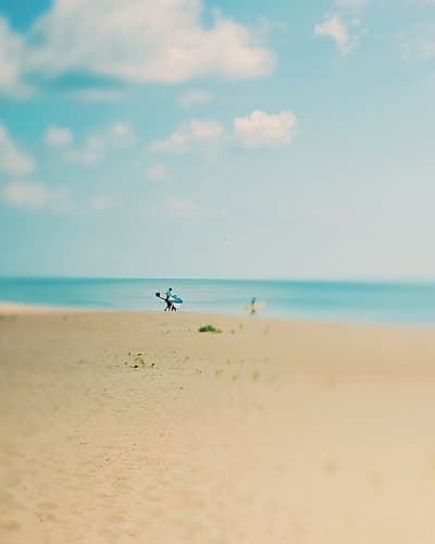 Silent Observer Coastal Print