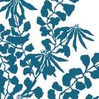 Trumpetvine Art Print