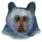 Black Bear Art Print
