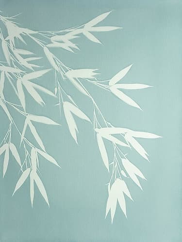 Celadon Bamboo Art Print