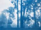 Morning Valley Light Art Print