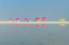 Camps Bay Beach Umbrellas Art Print