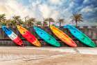 Surf Boards and Palm Trees Art Print